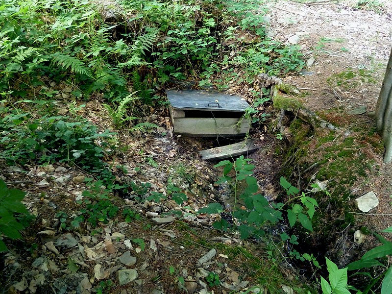 studánka bez jména (4694) - červen 2011