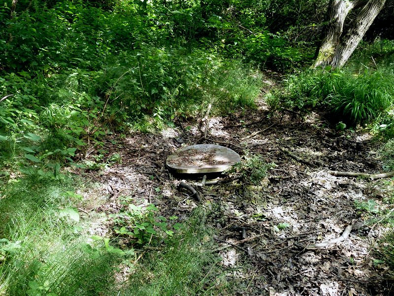 studánka bez jména (4695) - červen 2011