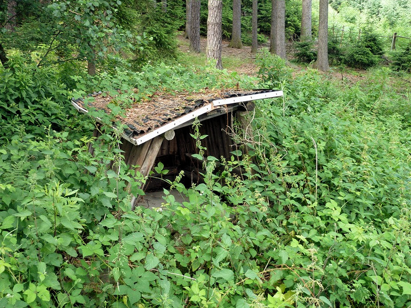 studánka bez jména (4697) - červen 2011
