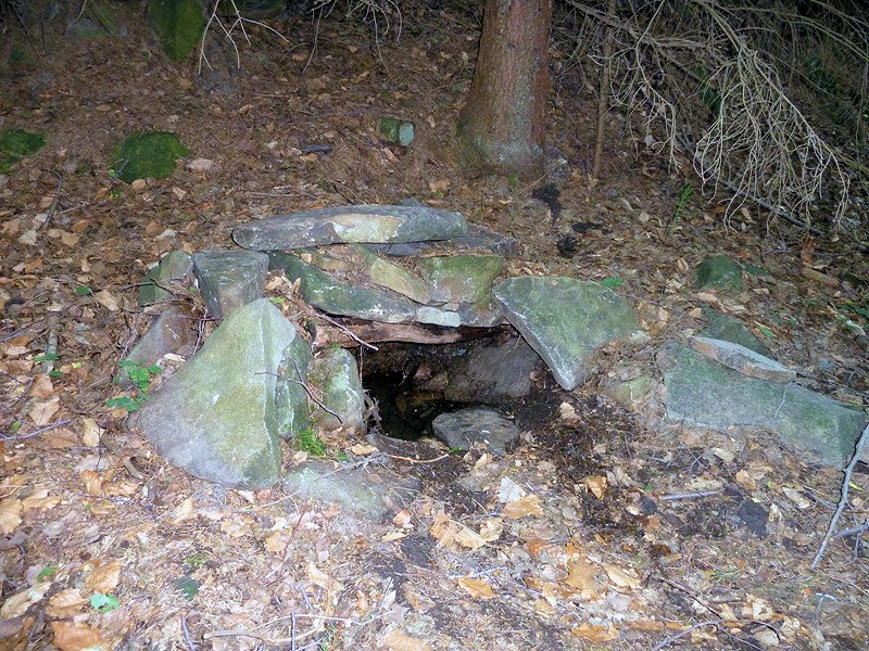 studánka Carcaio (4706) - červen 2011