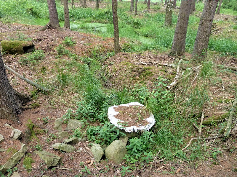 studánka Rochota (4707) - červen 2011