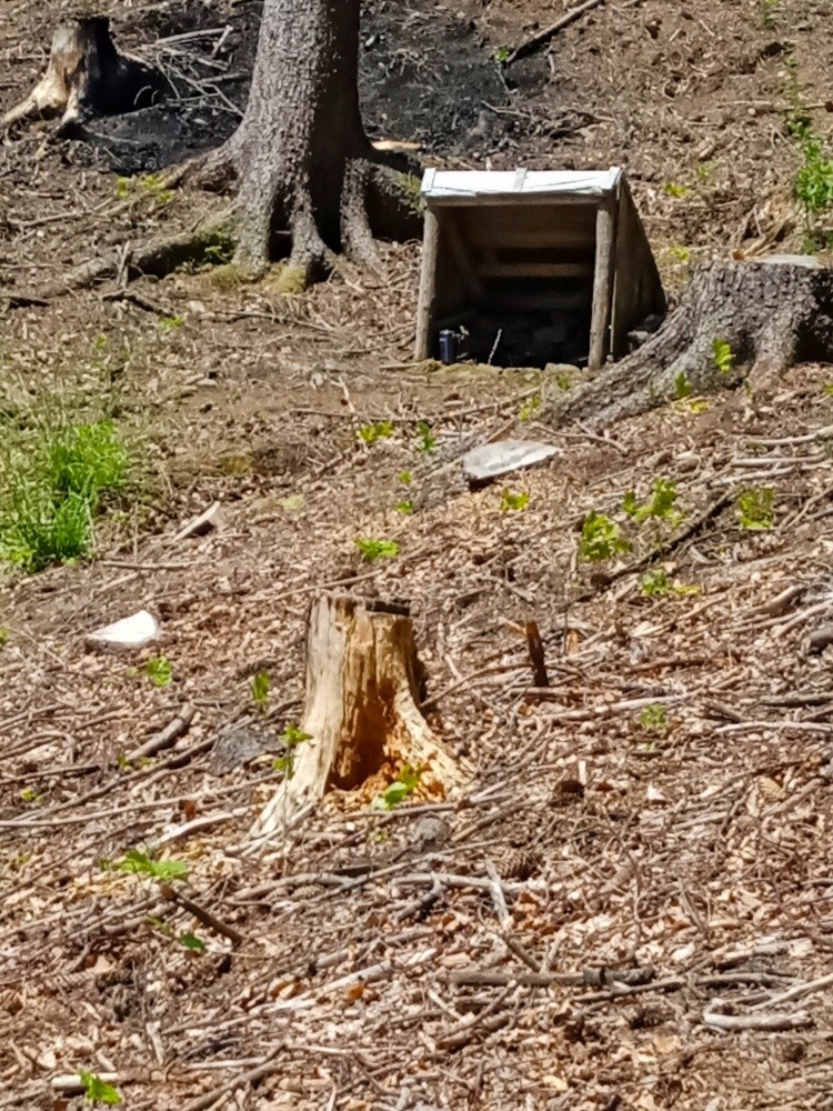 studánka U Kamasů (4713) - červen 2025
