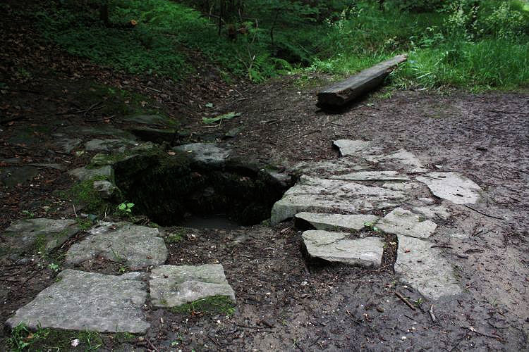 studánka bez jména (4721) - červen 2011