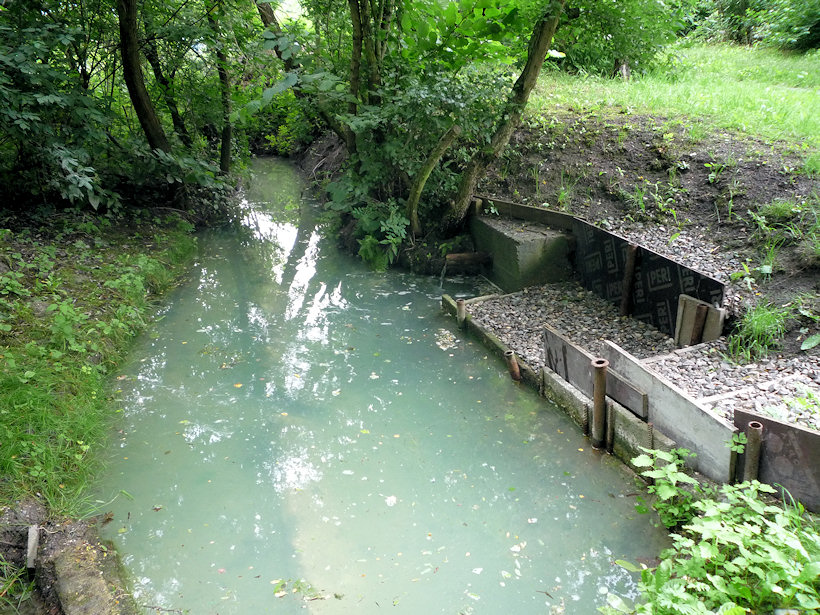 pramen Za Draguší (4723) - červen 2011