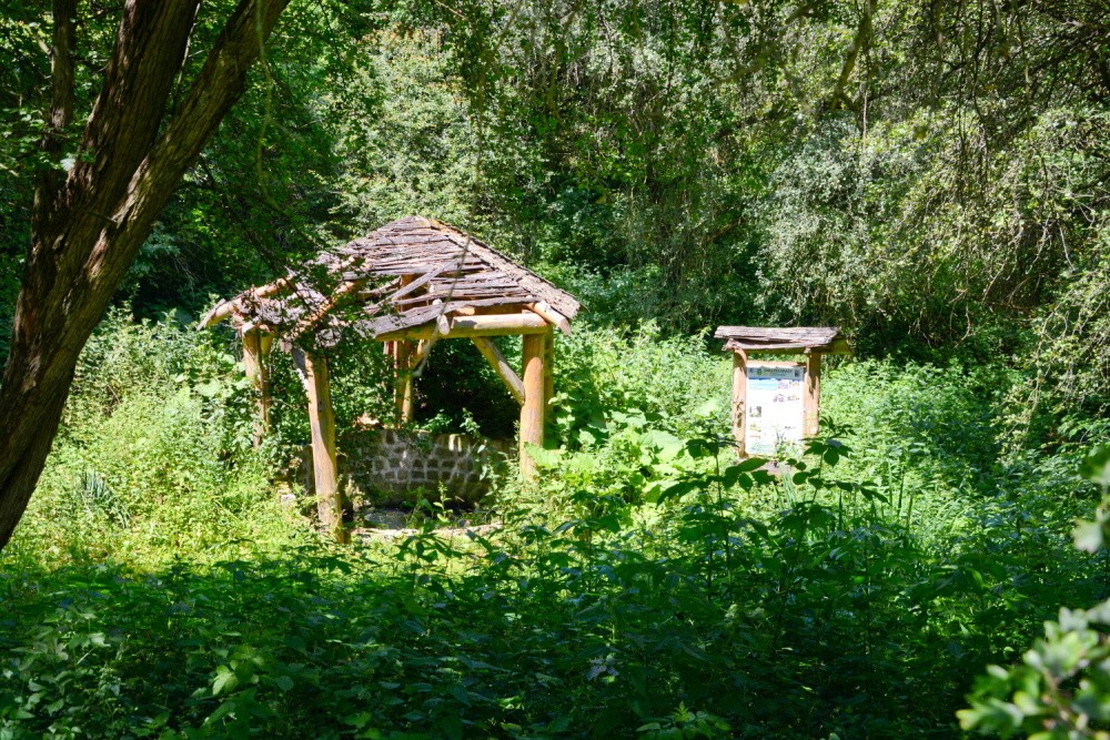 studánka bez jména (4727) - červen 2024