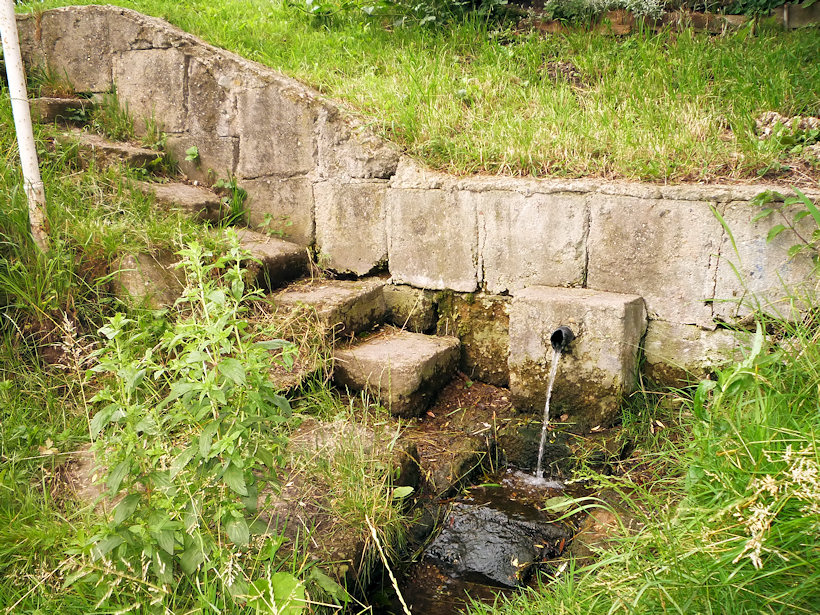 pramen U rybníčku (4728) - červen 2011