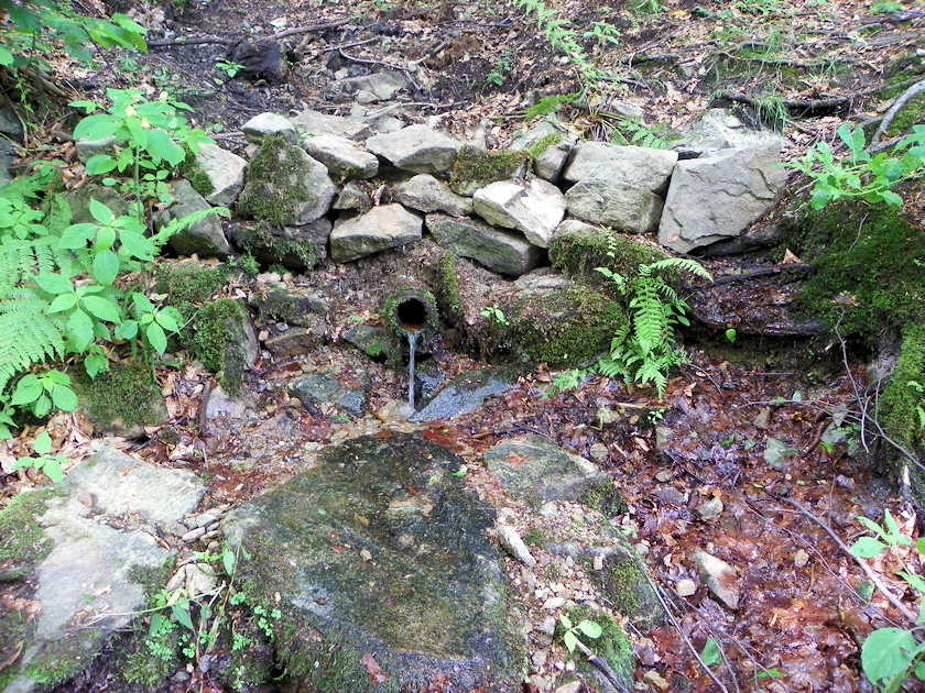 studánka v Domaslavickém údolí (4731) - červen 2011