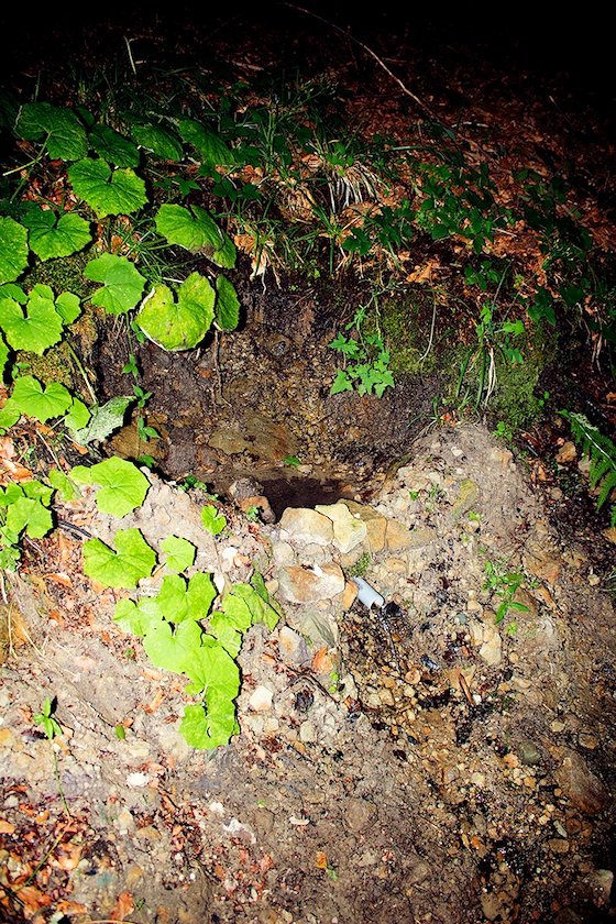 studánka bez jména (4733) - červen 2011