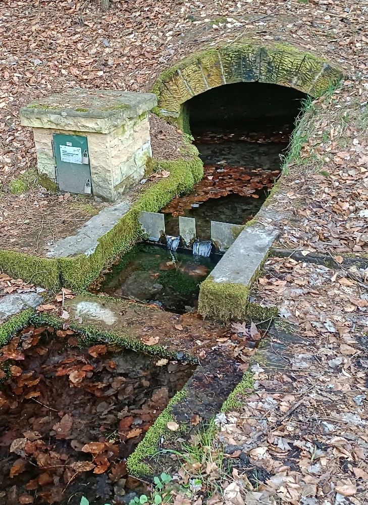 pramen Pod skalou (4738) - březen 2024
