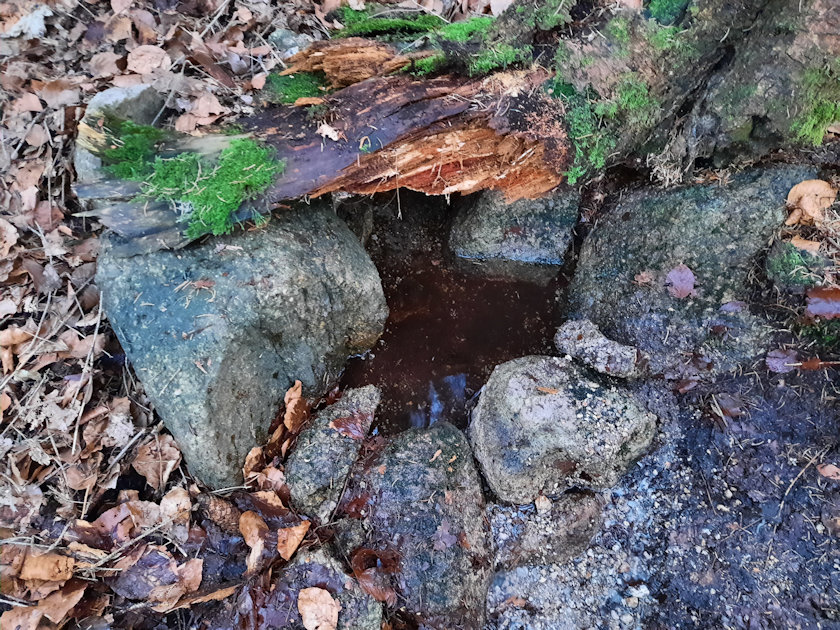 pramen Pod Dračí skálou (4740) - březen 2021