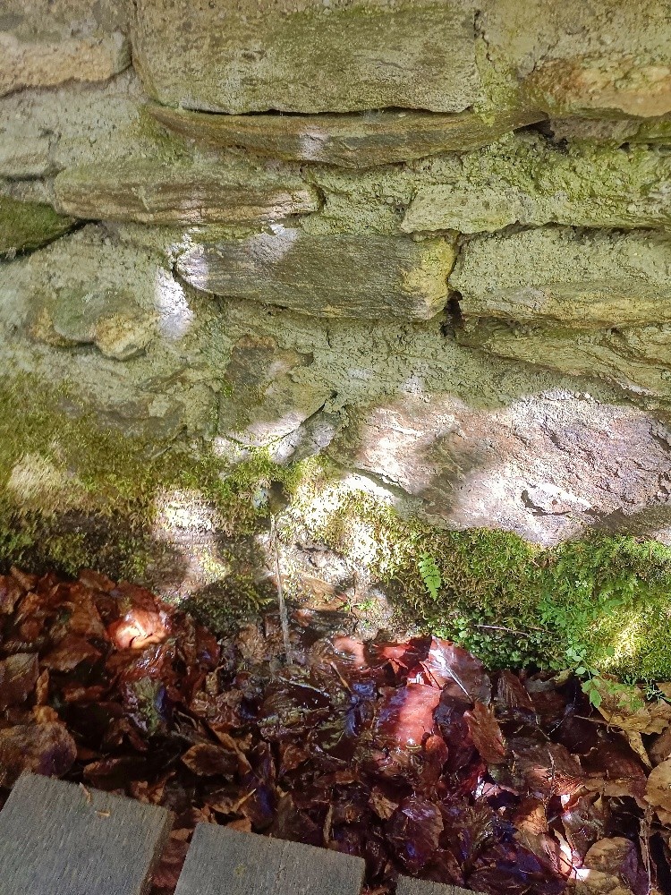 studánka Nad Kajetánem (4741) - září 2025