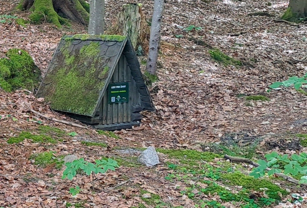 studánka Za Loučkou (4753) - červen 2024
