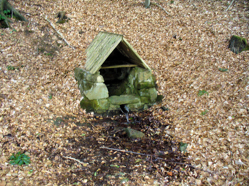 studánka U Štainbacha (4754) - červenec 2011
