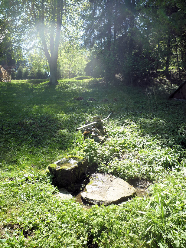 studánka Nad Záhorami (4761) - červenec 2011