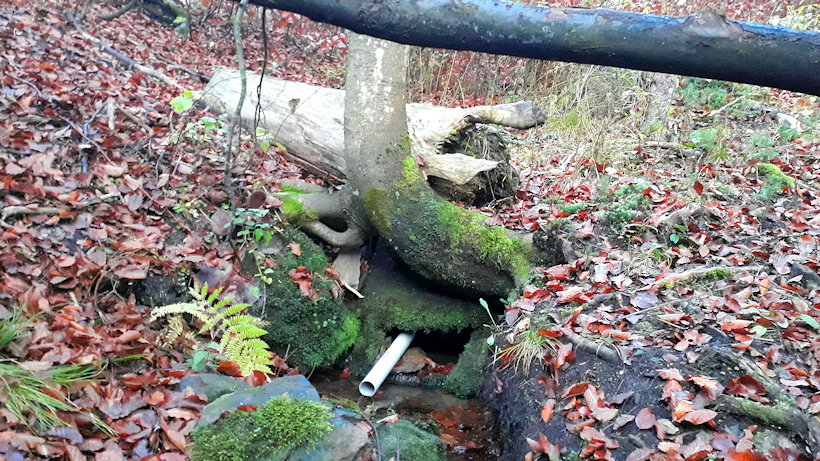 studánka Hladová voda (4764) - říjen 2019