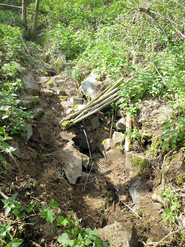 studánka Pod pískovnou (4765) - červenec 2011