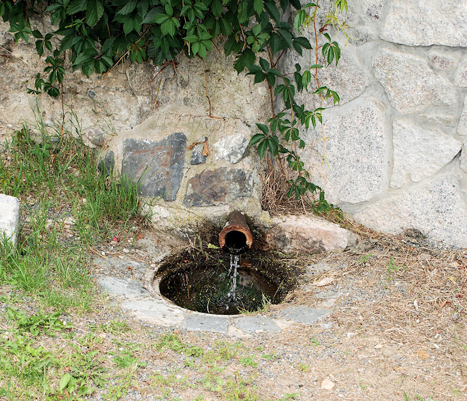 studánka U Žlábku (4770) - červenec 2011