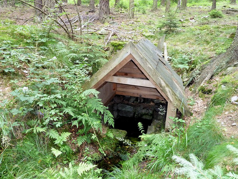 studánka bez jména (4777) - červenec 2011