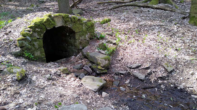 studánka bez jména (4784) - duben 2020