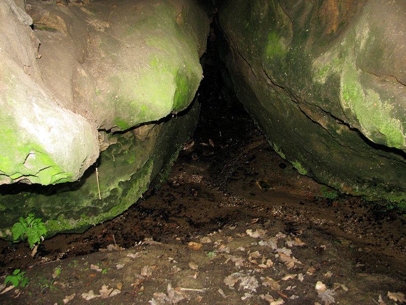 prameniště bez jména (4792) - červenec 2011