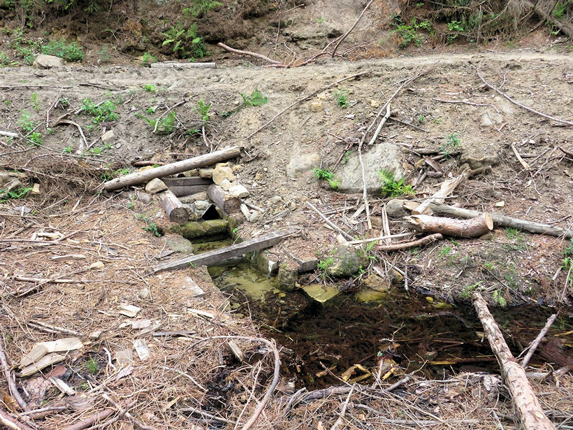 Rasova studánka (4803) - datum neznámé