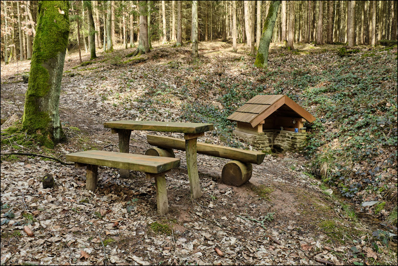 studánka bez jména (4805) - březen 2019