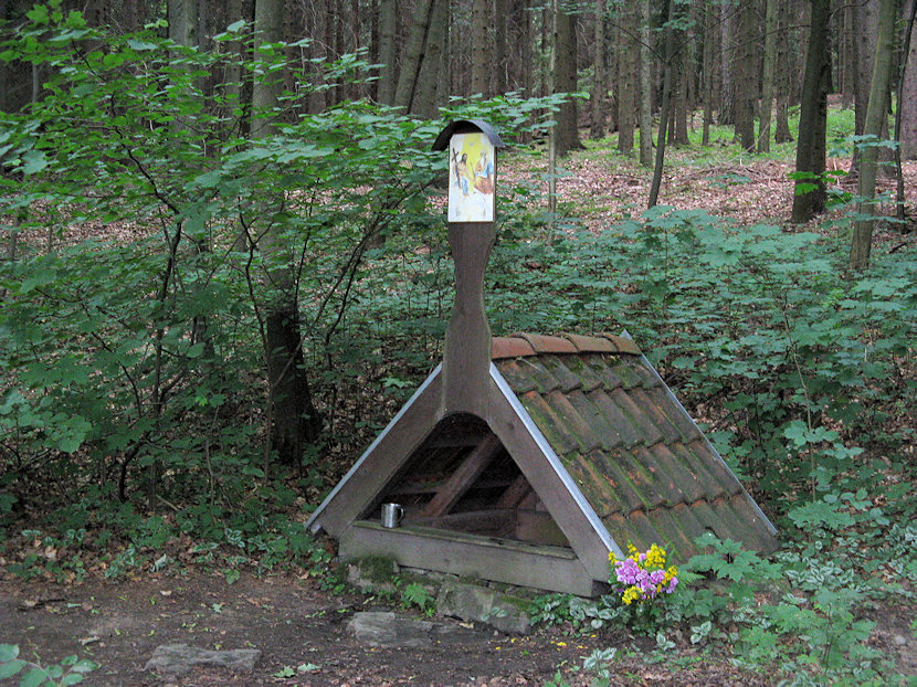 studánka Sv. Trojice u Vitějovic (4824) - červenec 2011