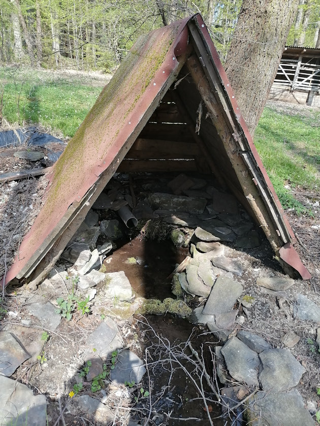 Pepanova studánka (4831) - květen 2021