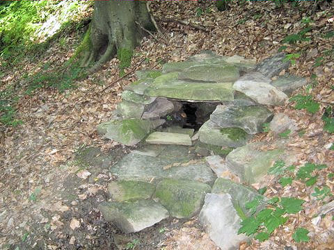 Vendulčina studánka (4833) - červenec 2011