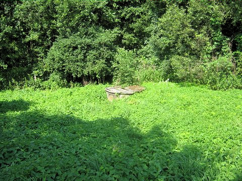 studna Farmářská (4836) - červenec 2011