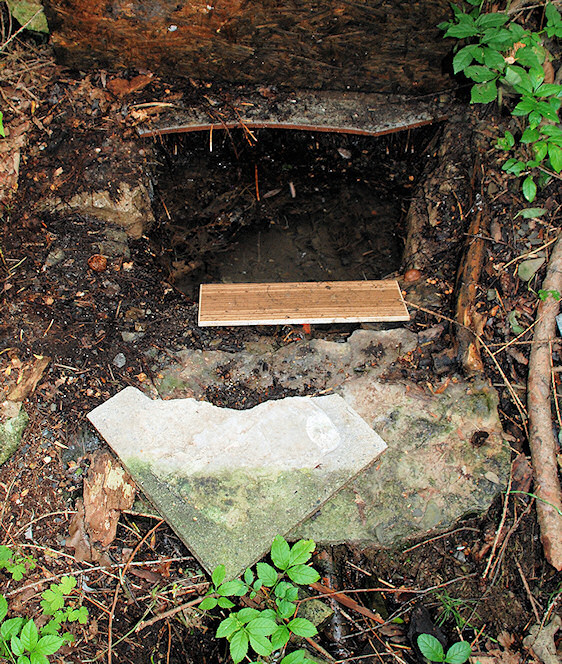 studánka U čtyř vrb (4843) - červenec 2011