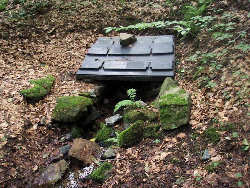 studánka Mezisvětí II (4851) - červenec 2011