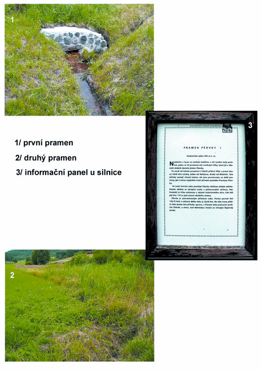 prameniště Prameny Pšovky (4854) - červenec 2011