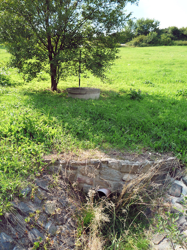 jiný vodní zdroj Pod skružemi (4856) - červenec 2011