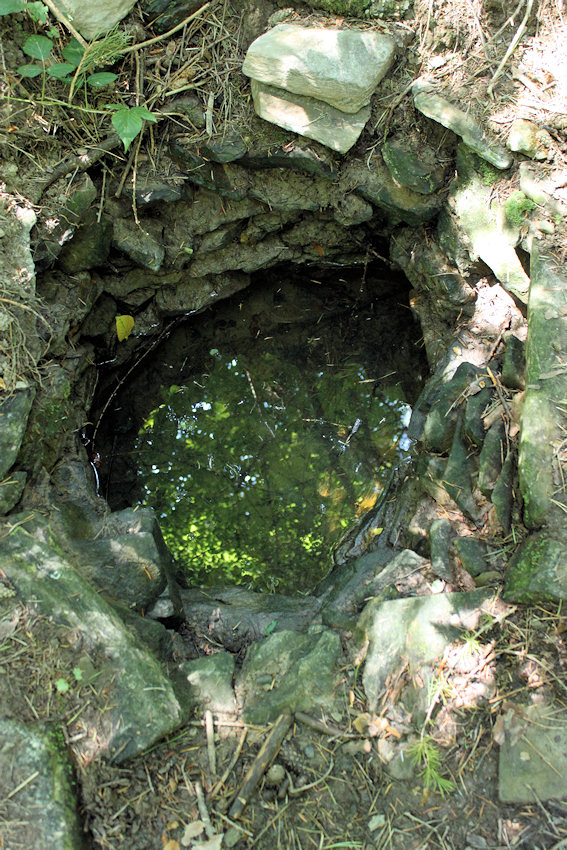 studánka U kuřátek (4865) - červenec 2011