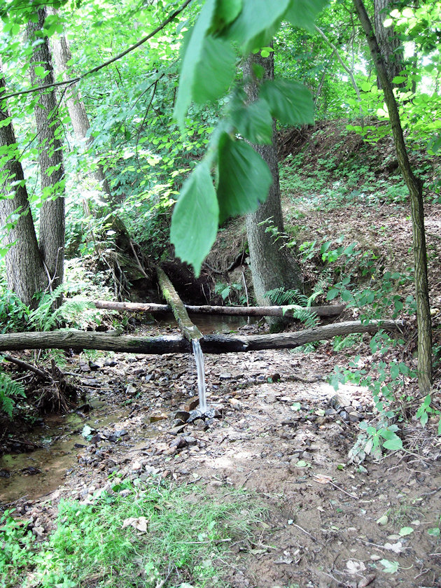 pramen U Dolského mlýna (4874) - červenec 2011