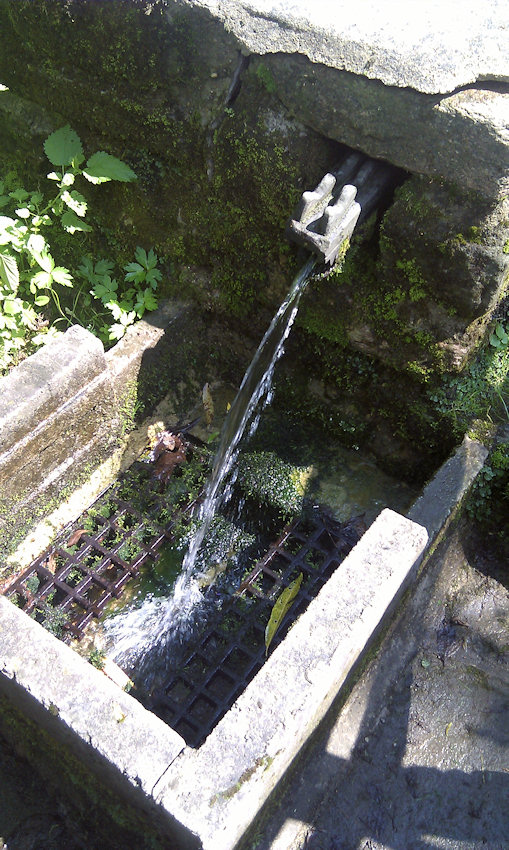 studánka Pastviny II (4893) - srpen 2011
