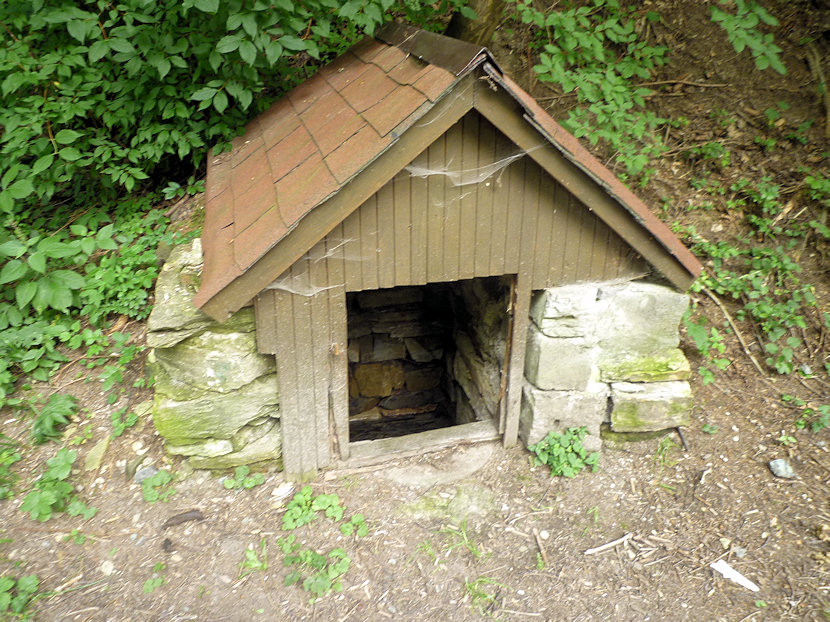 studánka Ve Valských dolech (4909) - srpen 2011