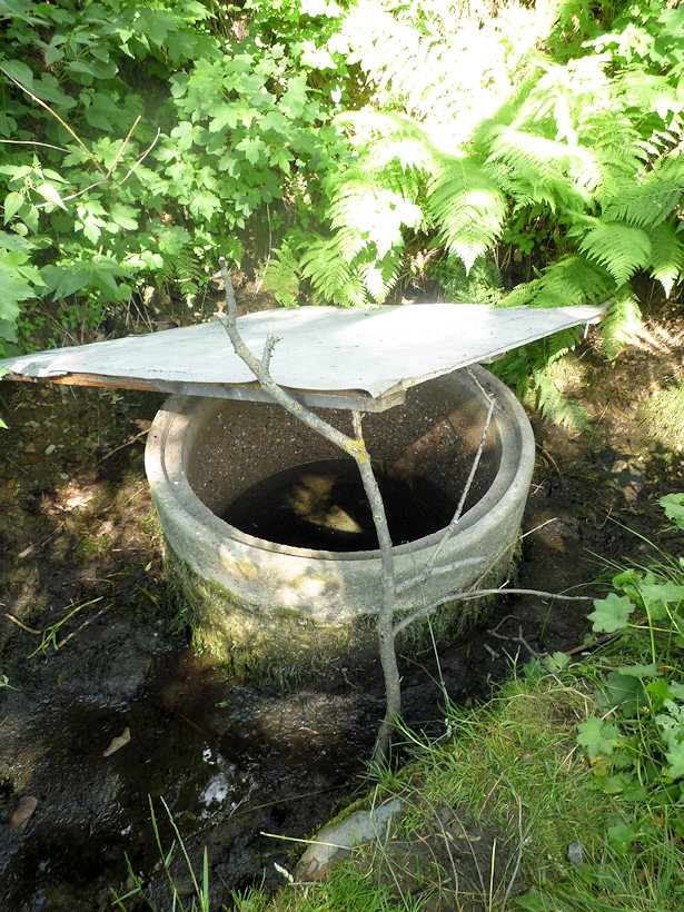 studánka Nad Plasnickou kaplí (4911) - srpen 2011