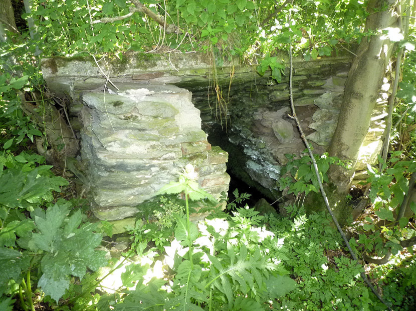 studánka Nad chatou Jiskra (4912) - srpen 2011