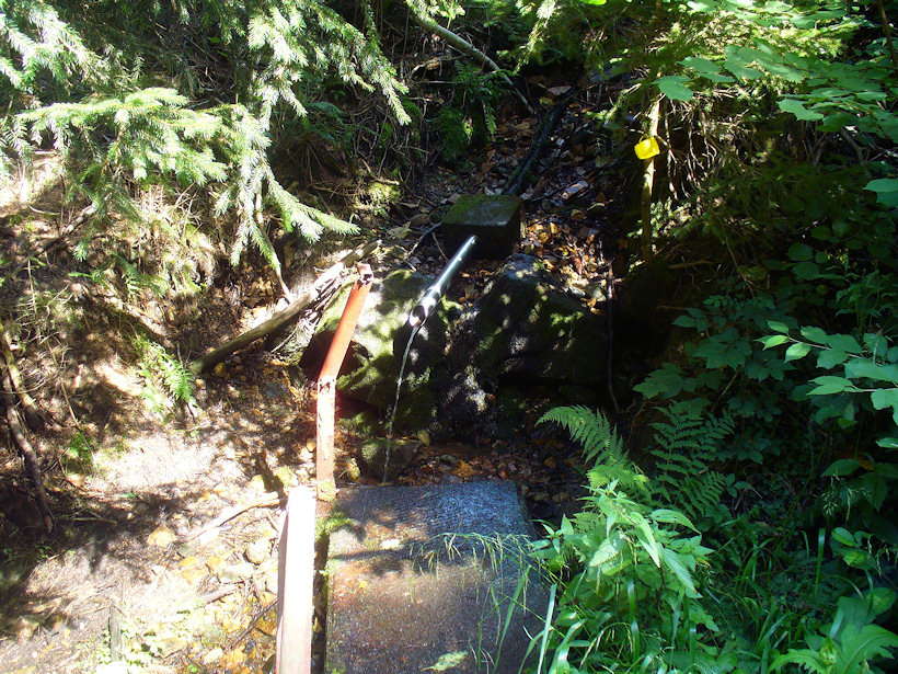 studánka bez jména (4917) - srpen 2011