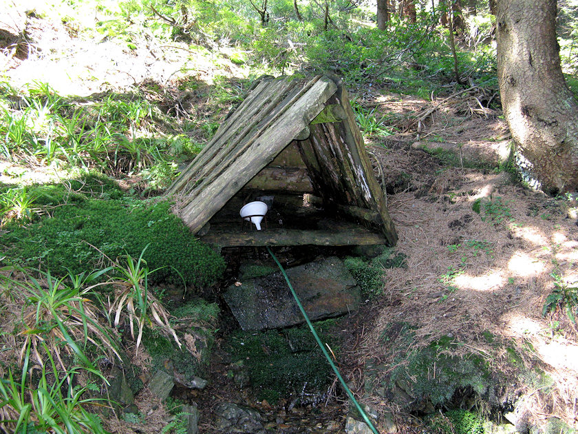 studánka Sněžná dolina (4924) - srpen 2011