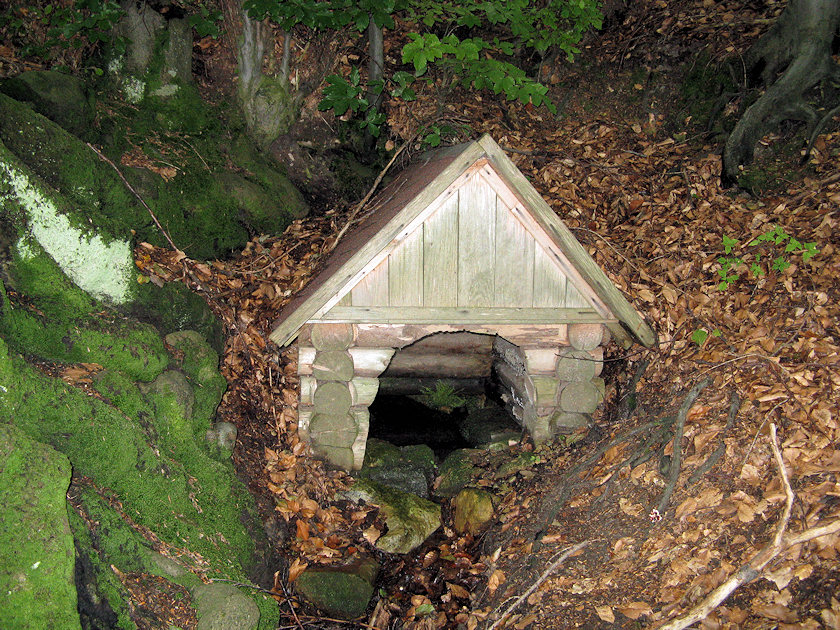 studánka U sovího buku (4927) - srpen 2011