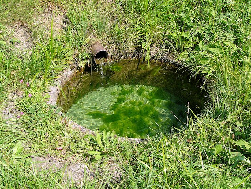 studánka Pod zahrádkami (4932) - srpen 2011