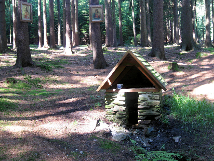 studánka Panský les (4952) - srpen 2011