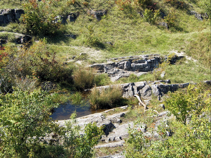 jiný vodní zdroj Fialová studánka (4954) - srpen 2011