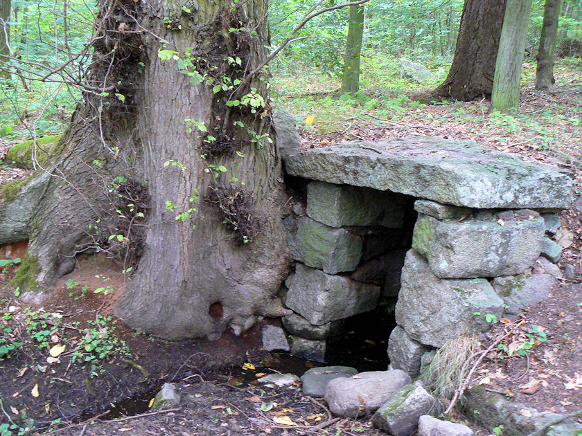 studánka bez jména (4955) - srpen 2011