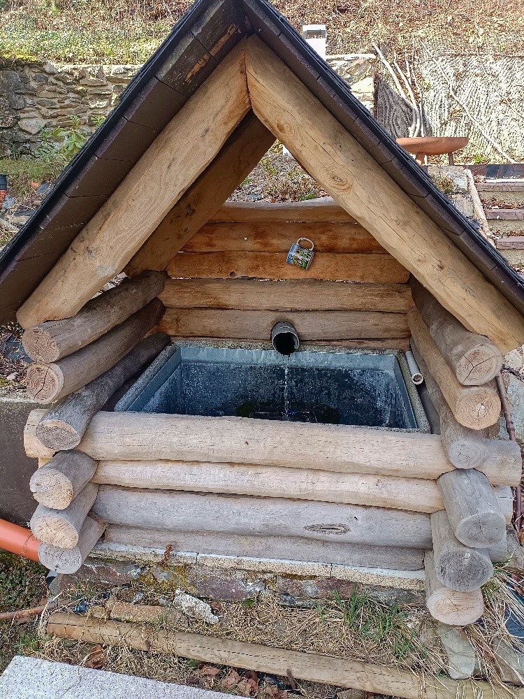 studánka Svojsíkova (4956) - duben 2025