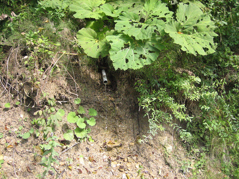 studánka Kalvárie (4966) - září 2011