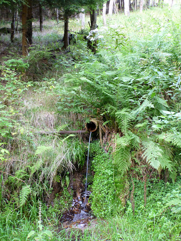 pramen Nad Křimovskou přehradou (4977) - září 2011